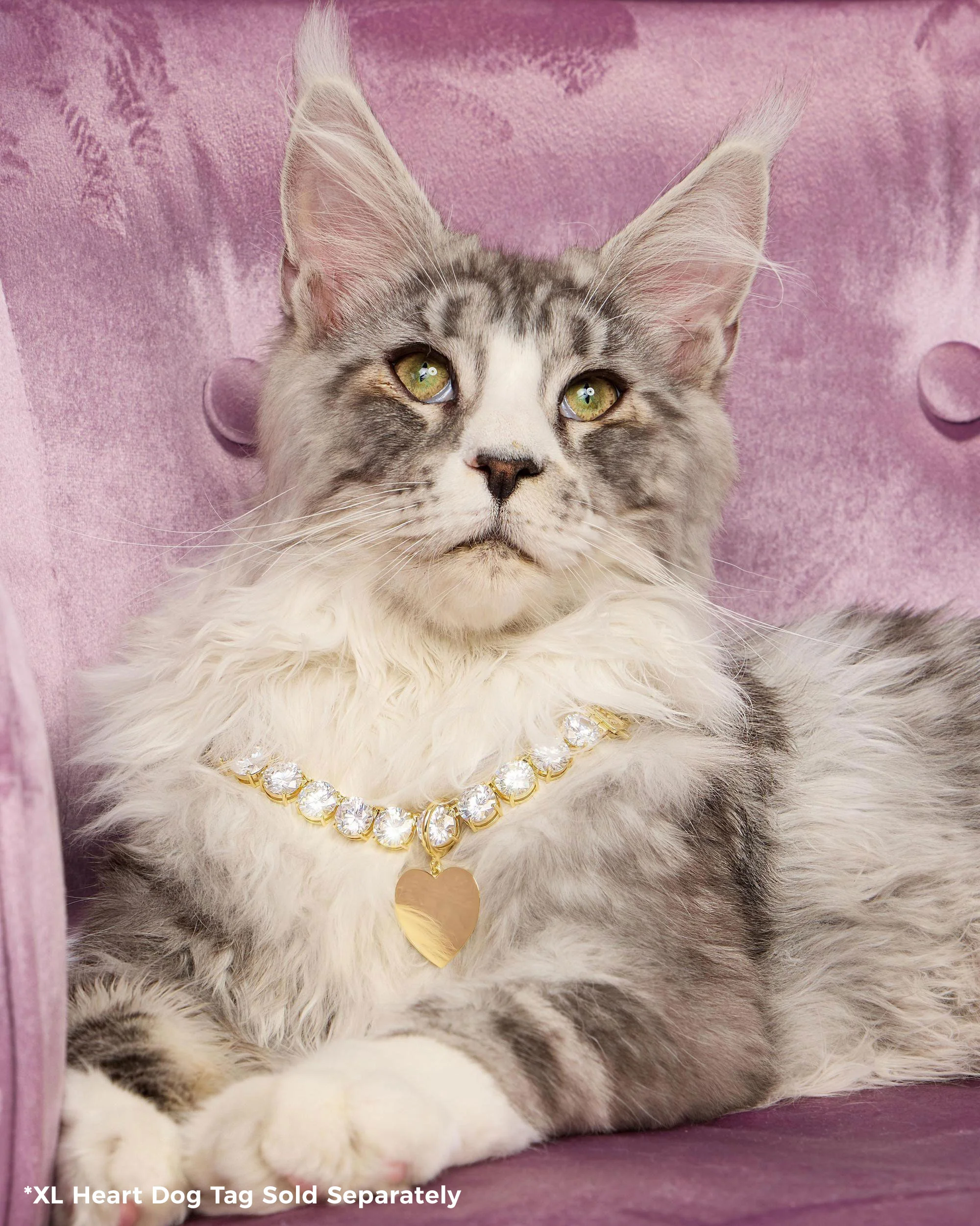 Royal Pet Tennis Necklace - Gold|White Diamondettes - Image 13