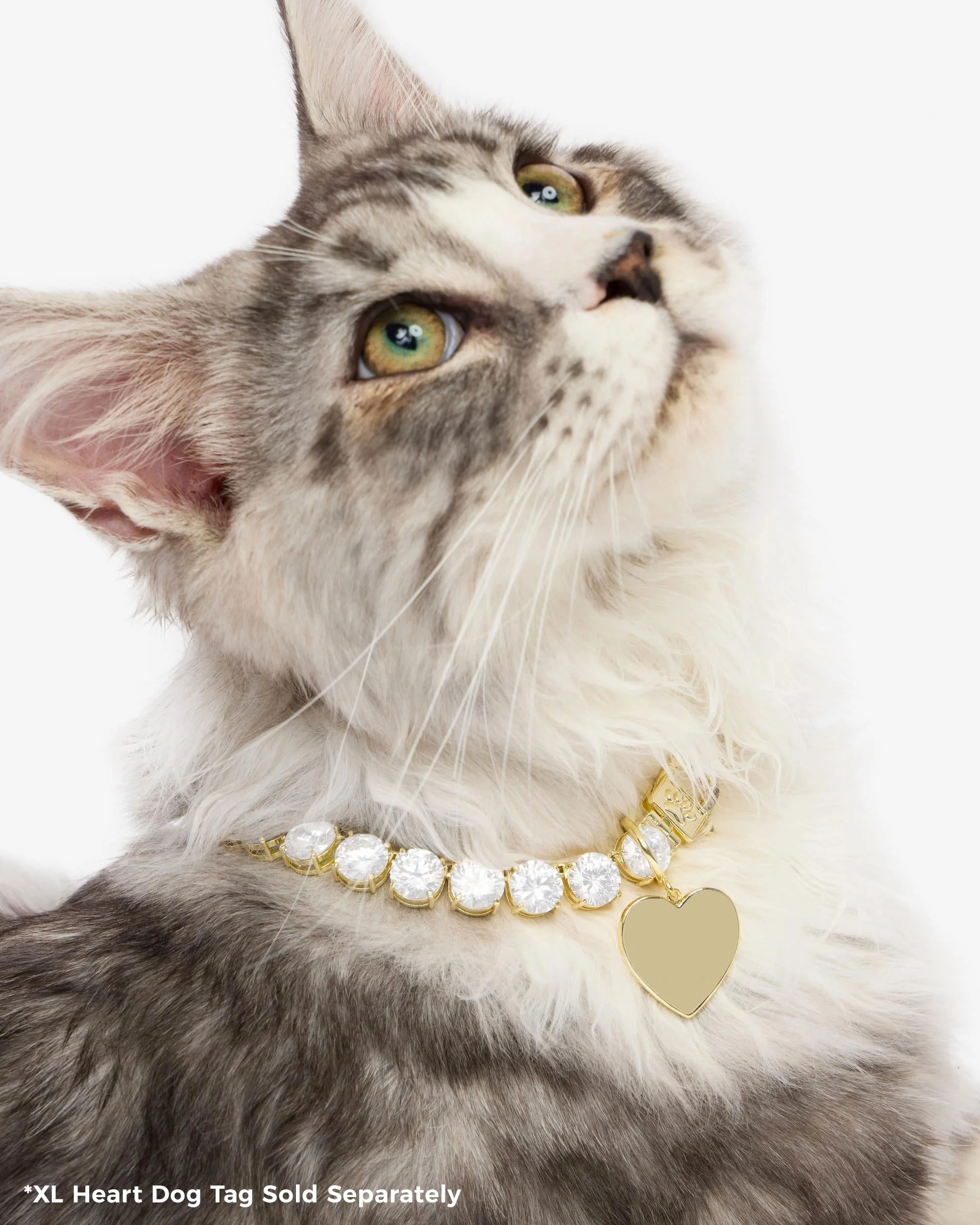 Royal Pet Tennis Necklace - Gold|White Diamondettes - Image 3