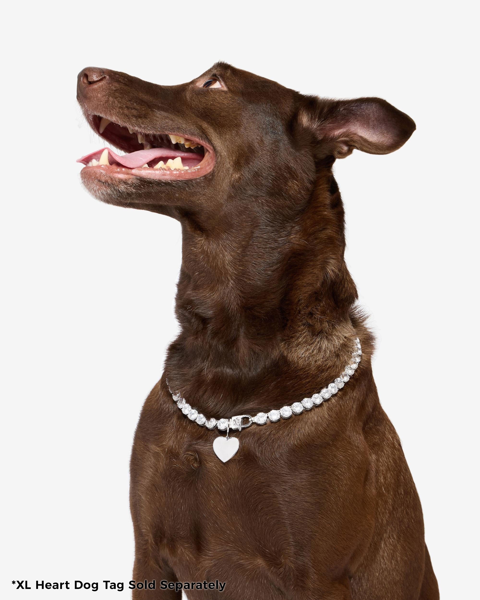 Royal Pet Tennis Necklace - Silver|White Diamondettes - Image 11