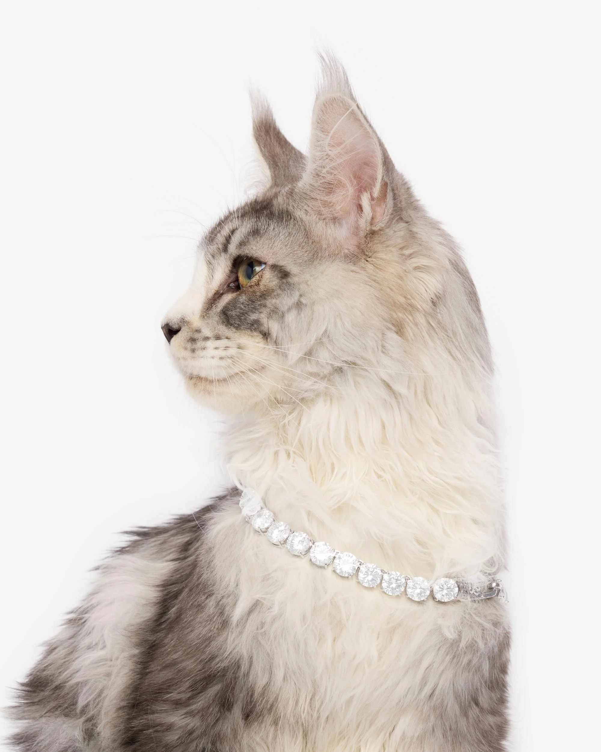 Royal Pet Tennis Necklace - Silver|White Diamondettes - Image 12