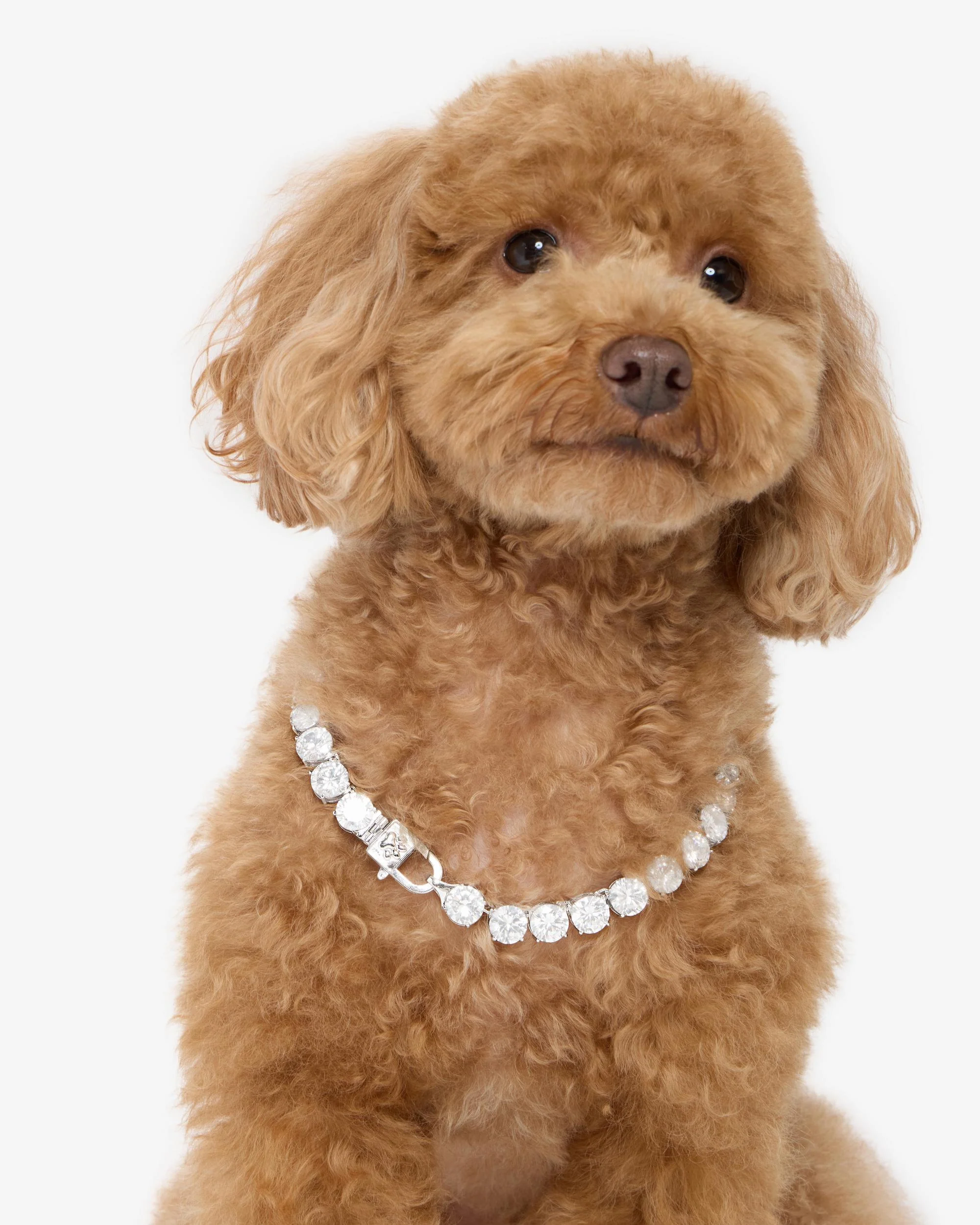 Royal Pet Tennis Necklace - Silver|White Diamondettes - Image 6