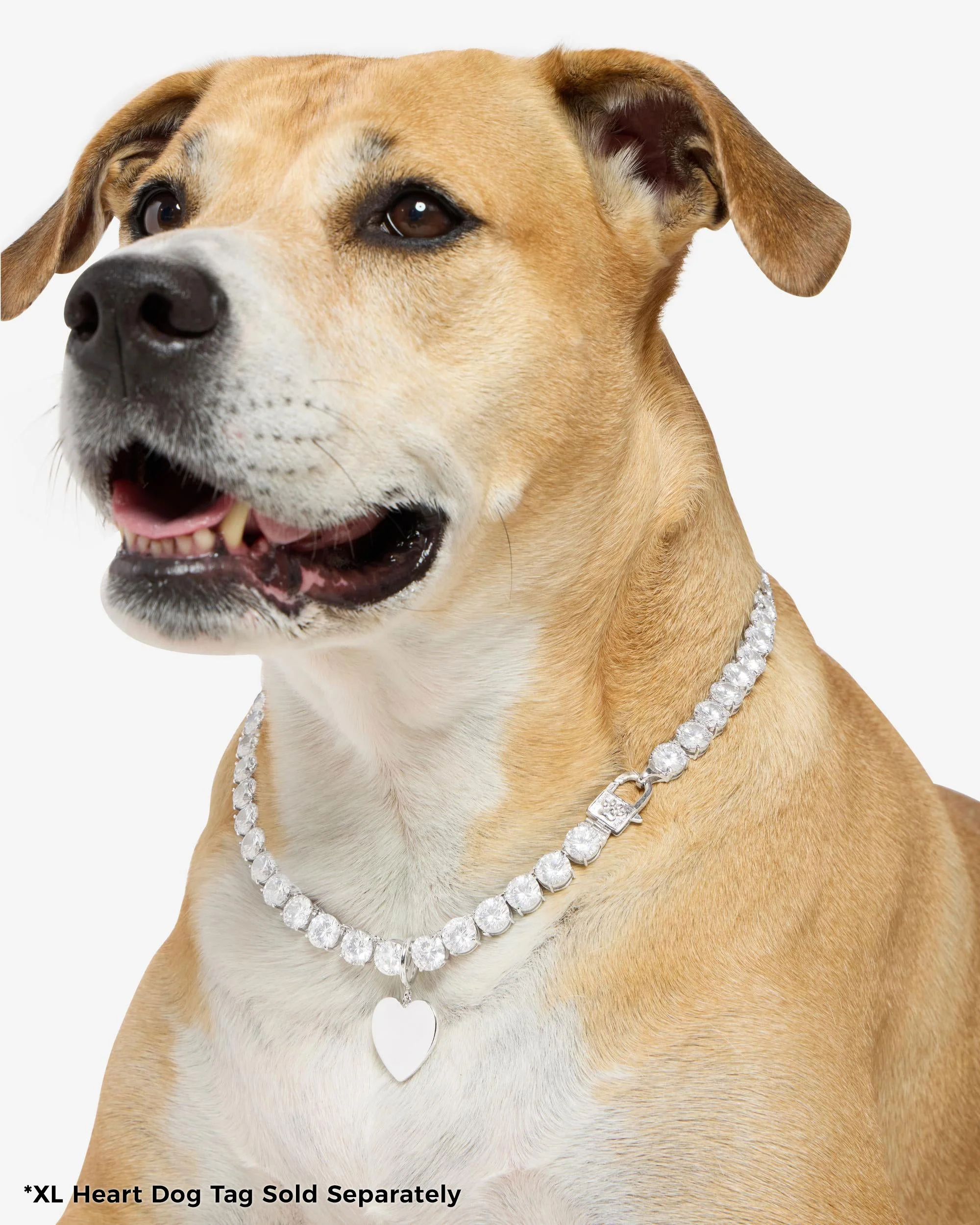 Royal Pet Tennis Necklace - Silver|White Diamondettes - Image 9