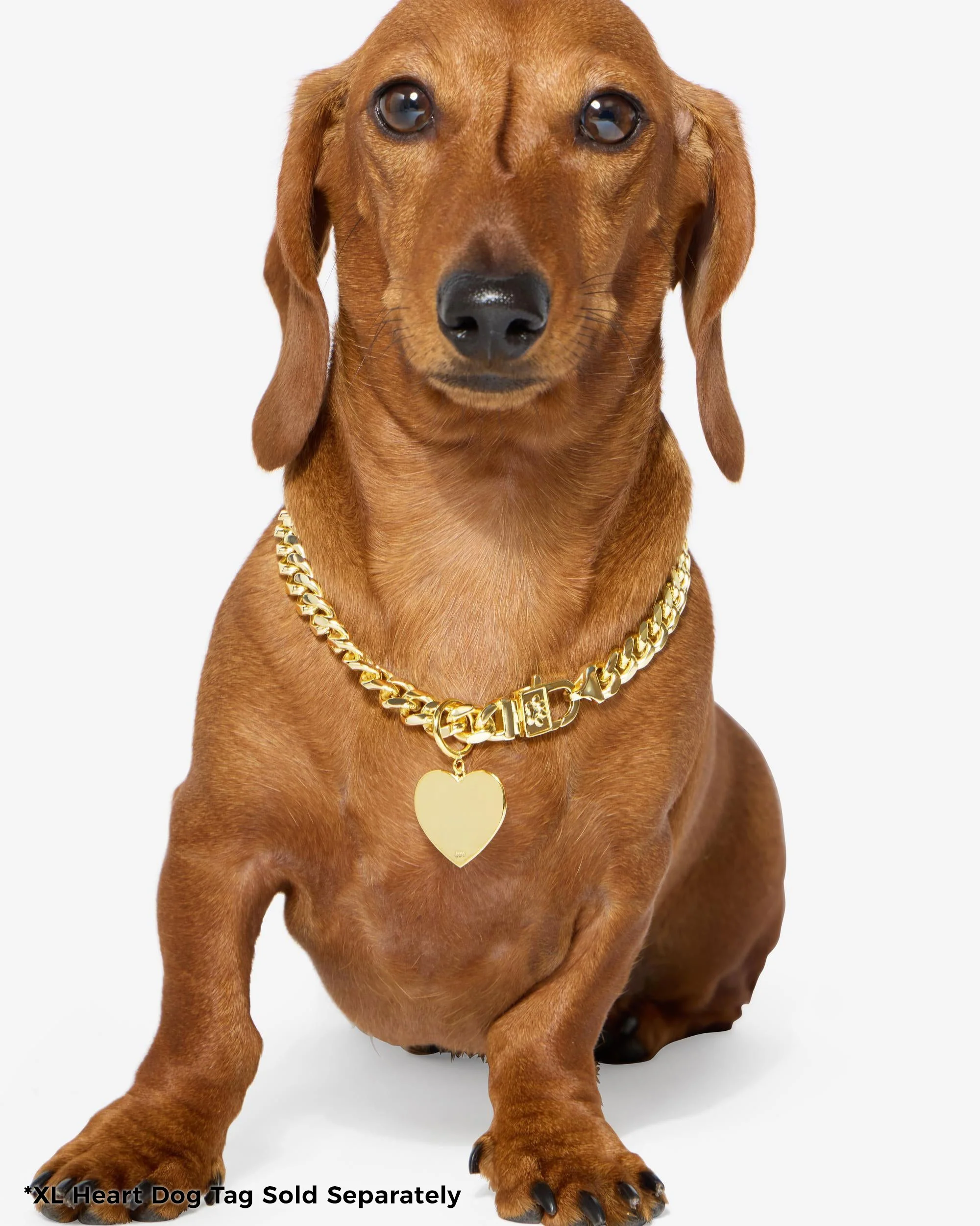 Thor Cuban Chain Pet Necklace 10.8mm - Gold - Image 4